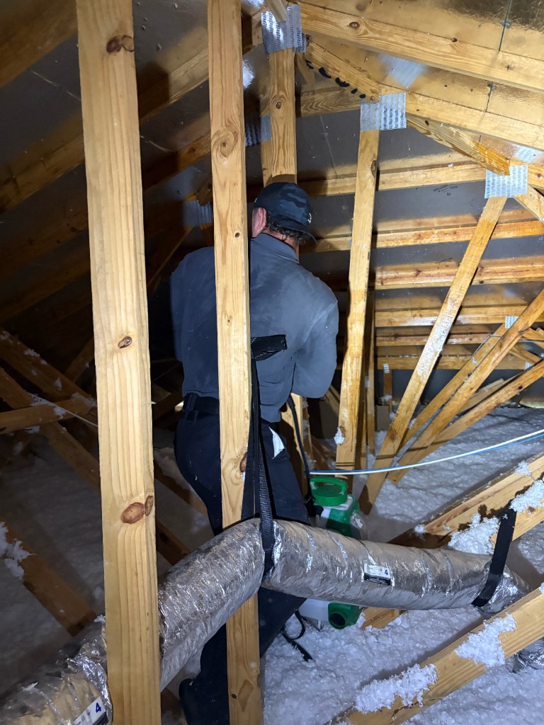 Zen Pest Solutions technician performing a termite inspection in a home attic